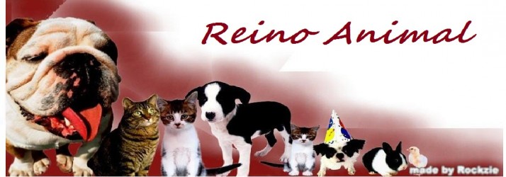 REINO ANIMAL